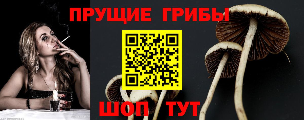Галлюциногенные грибы GOLDEN TEACHER Нижневартовск
