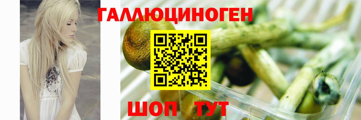 Галлюциногенные грибы мухоморы  Галлюциногенные грибы Psilocybine cubensis  наркошоп  Нижневартовск  Вход с VPN 